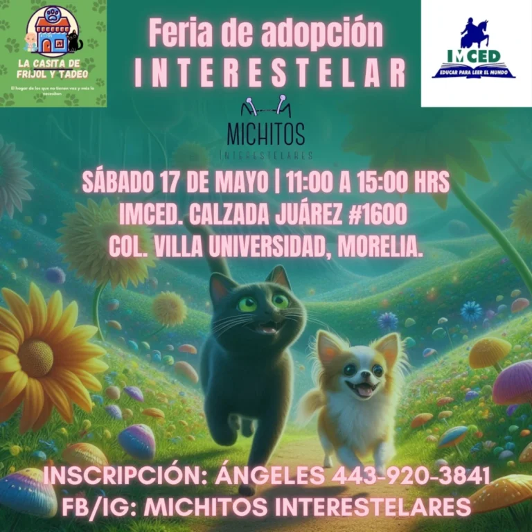 Michoacanos buscados por michis y lomitos: se acerca la feria de adopción interestelar