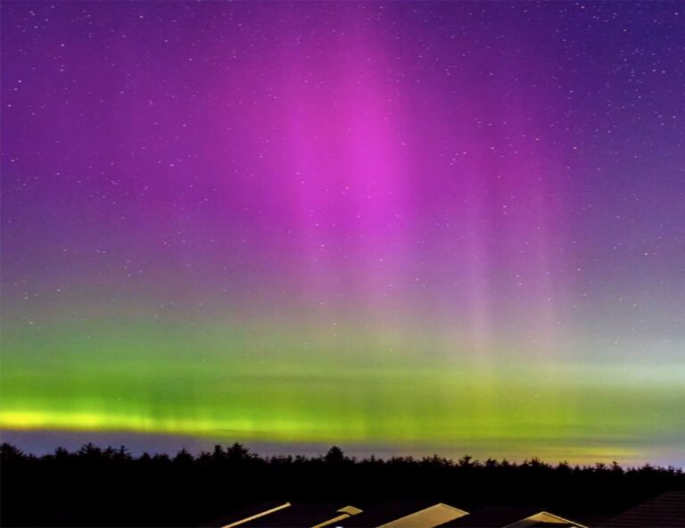 En México, auroras boreales observables cada tres décadas: científicos