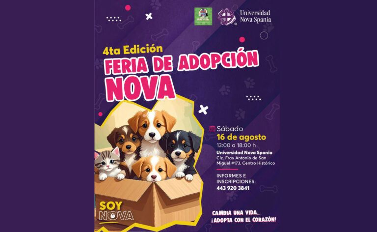 Michis buscan Karen o Karencio, lomitos listos para rescatar a un humano perdido en feria de adopción