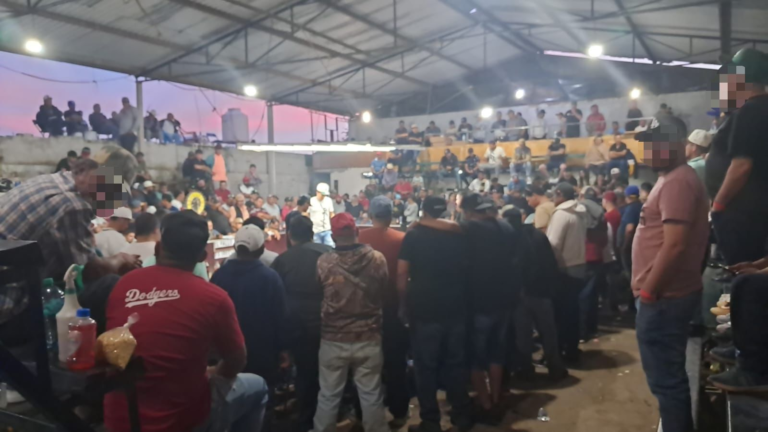 SSP y Defensa desactivan palenque clandestino en Zamora